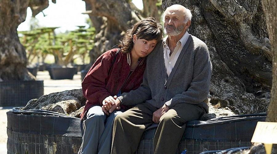 The Olive Tree at the Calgary European Union Film Festival