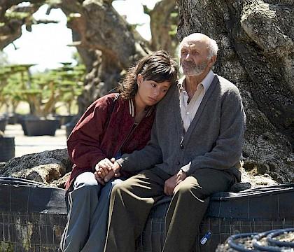 The Olive Tree at the Calgary European Union Film Festival